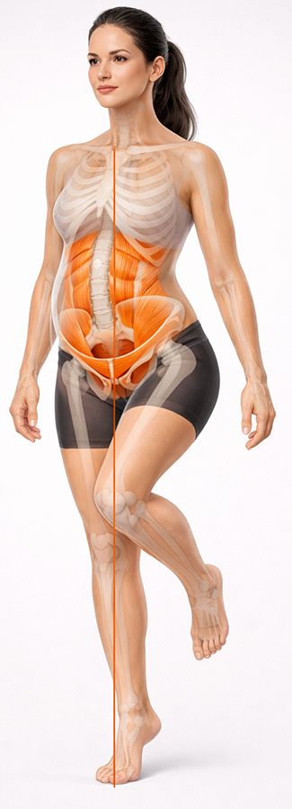 Grossesse et équilibre corporel : le rôle clé des muscles stabilisateurs GROSSESSE 03