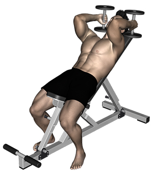 muscler arriere bras