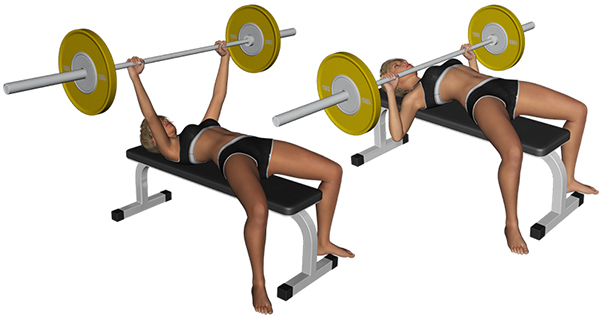 024 MUSCULATION FEMME DEVELOPPE COUCHE