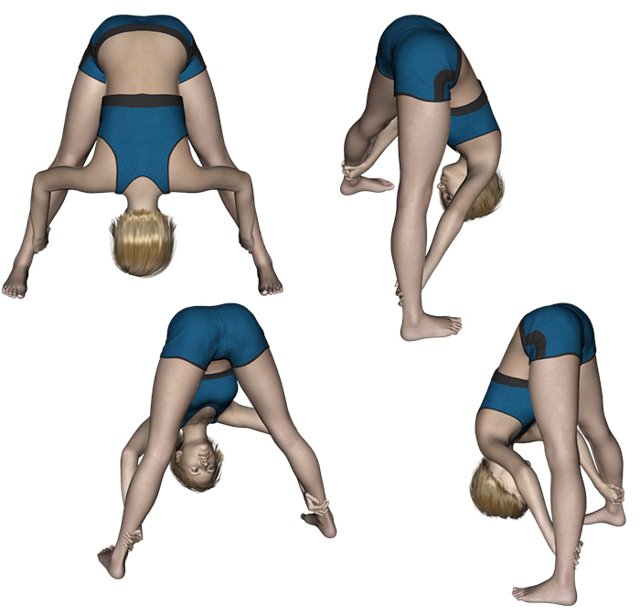 Stretching : Dos - Exercice de stretching N&deg;12 - Muscles du dos - Fessiers - Ischios-jambiers