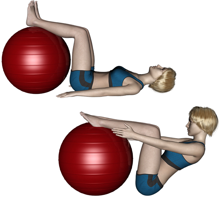Swiss-ball Abdominaux - Exercice avec ballon N&deg;09 - Muscles sollicit&eacute;s : Abdominaux : grands droits de l'abdomen, adducteurs