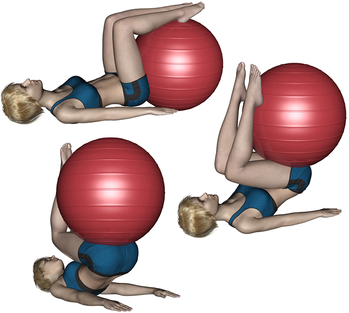 Swiss-ball Abdominaux - Exercice avec ballon N&deg;12 - Muscles sollicit&eacute;s : Abdominaux (grands droits)